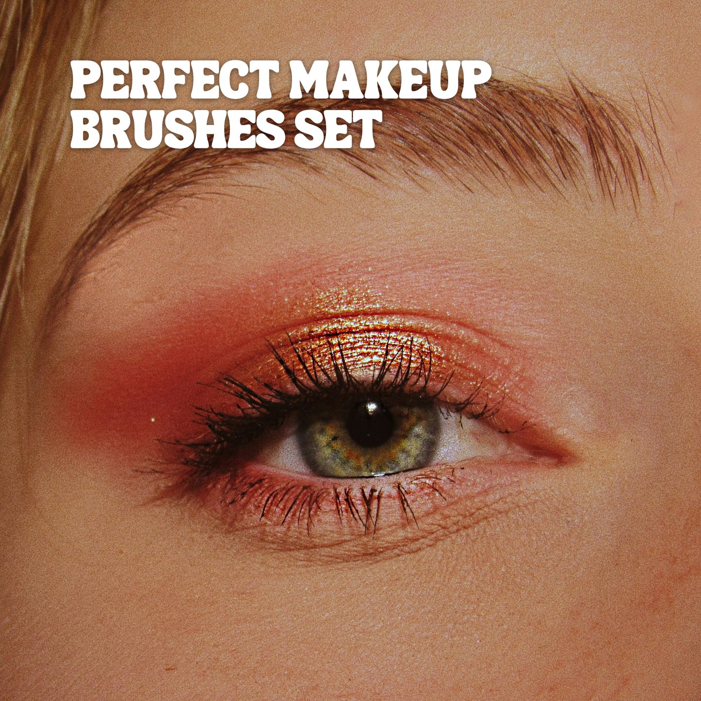 27 Brushes for the Bold & Untamed